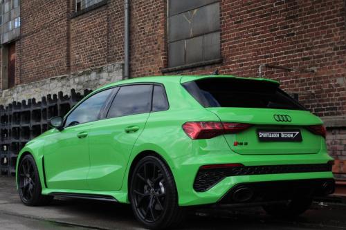 Audi-RS3-Hinten-Links